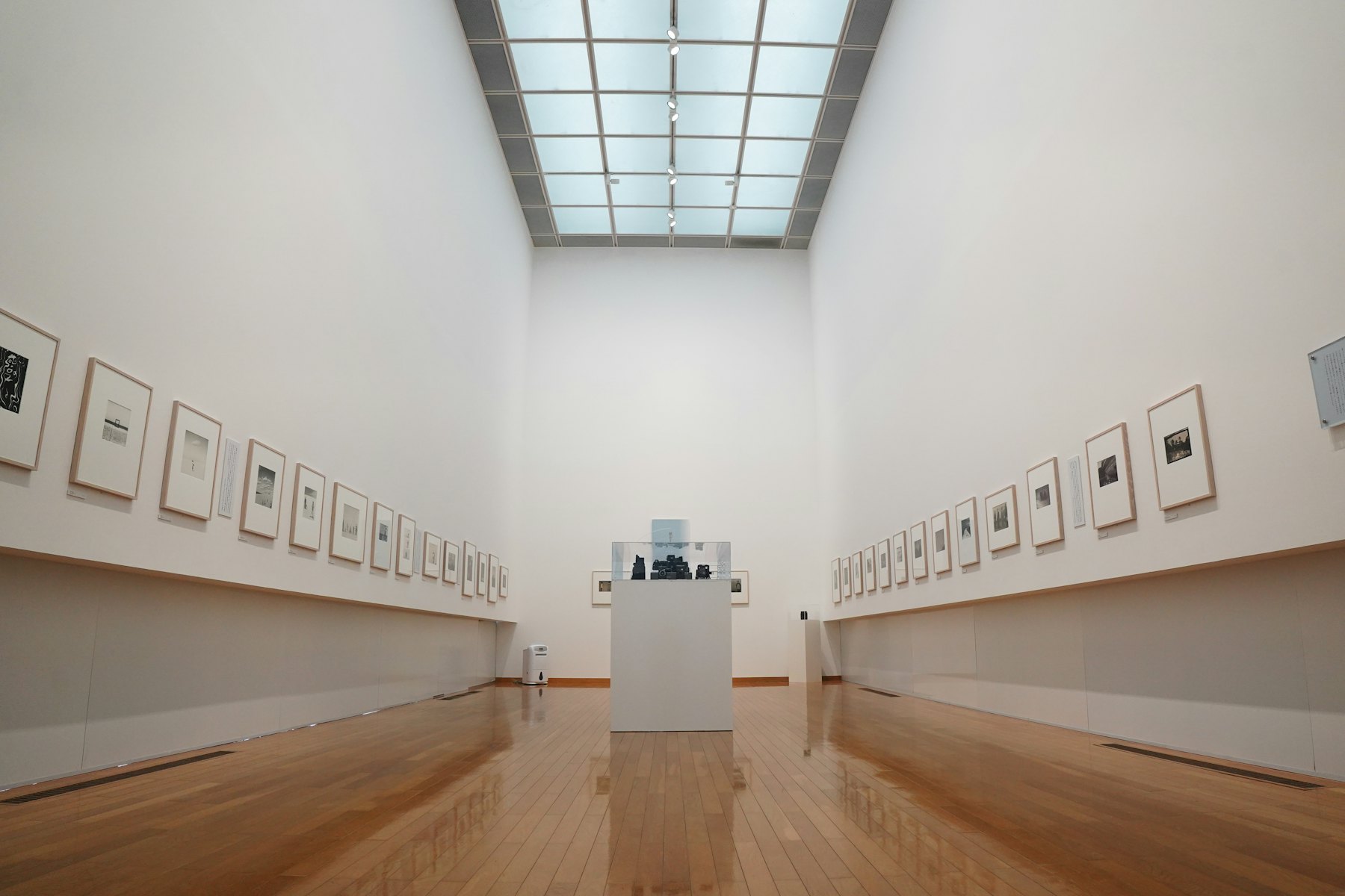Framed works hung on clean white gallery walls