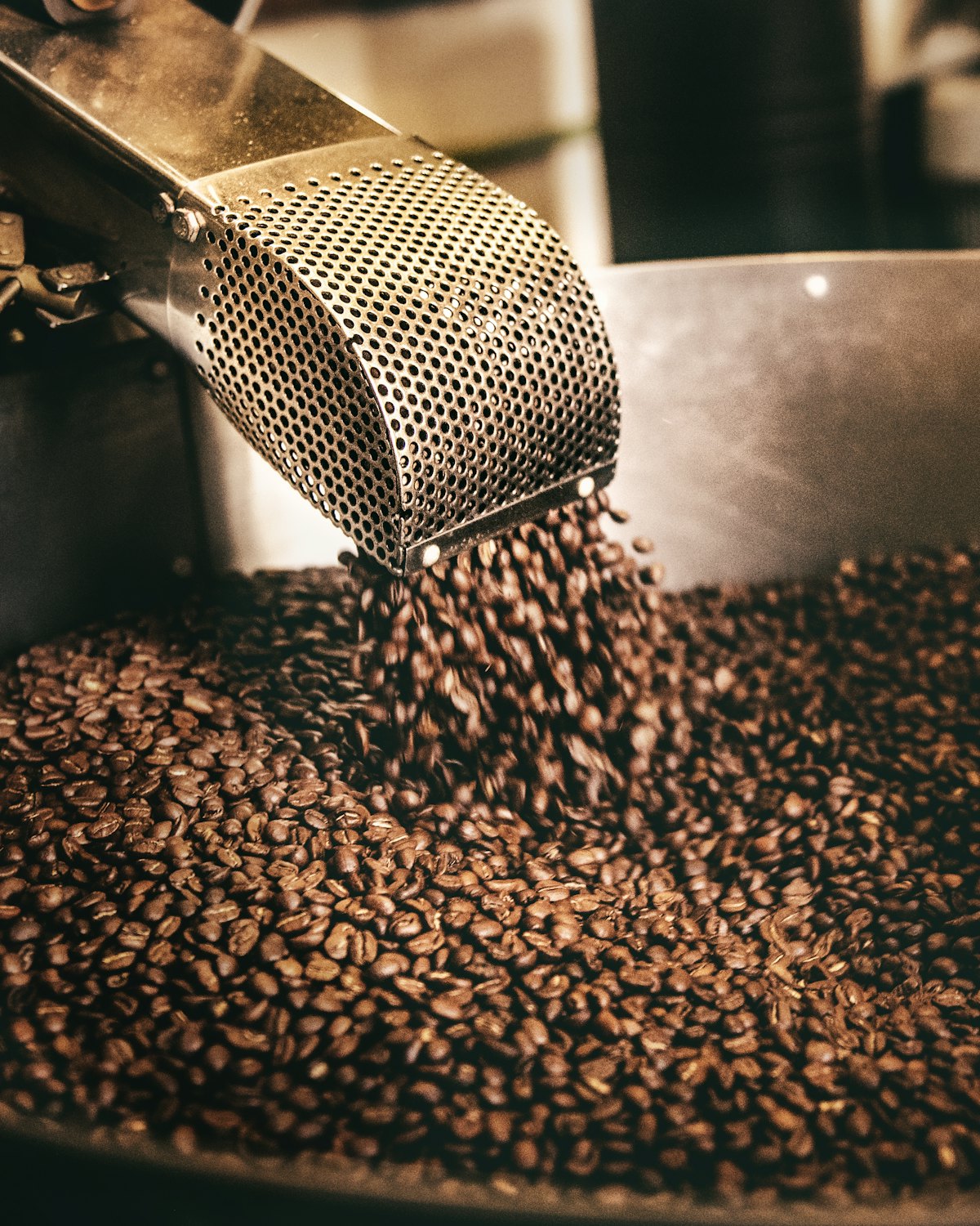 Freshly roasted coffee beans turning in the cooling tray of a roaster