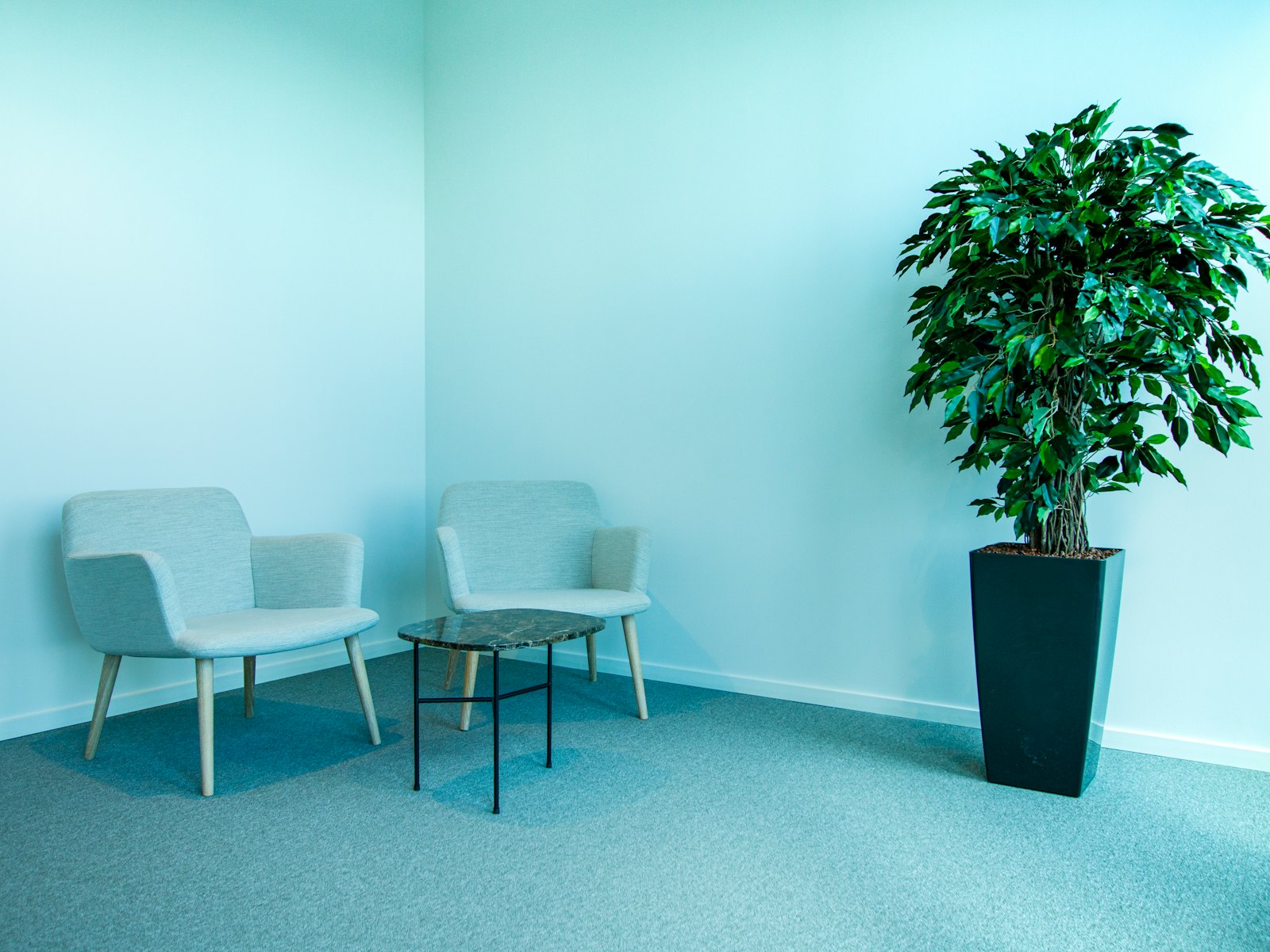 The waiting room at Brightwater Family Medicine