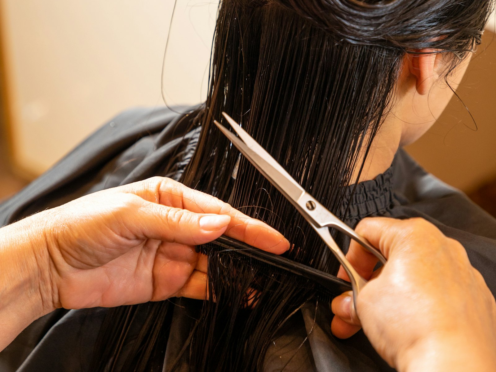 A stylist cutting a client's hair