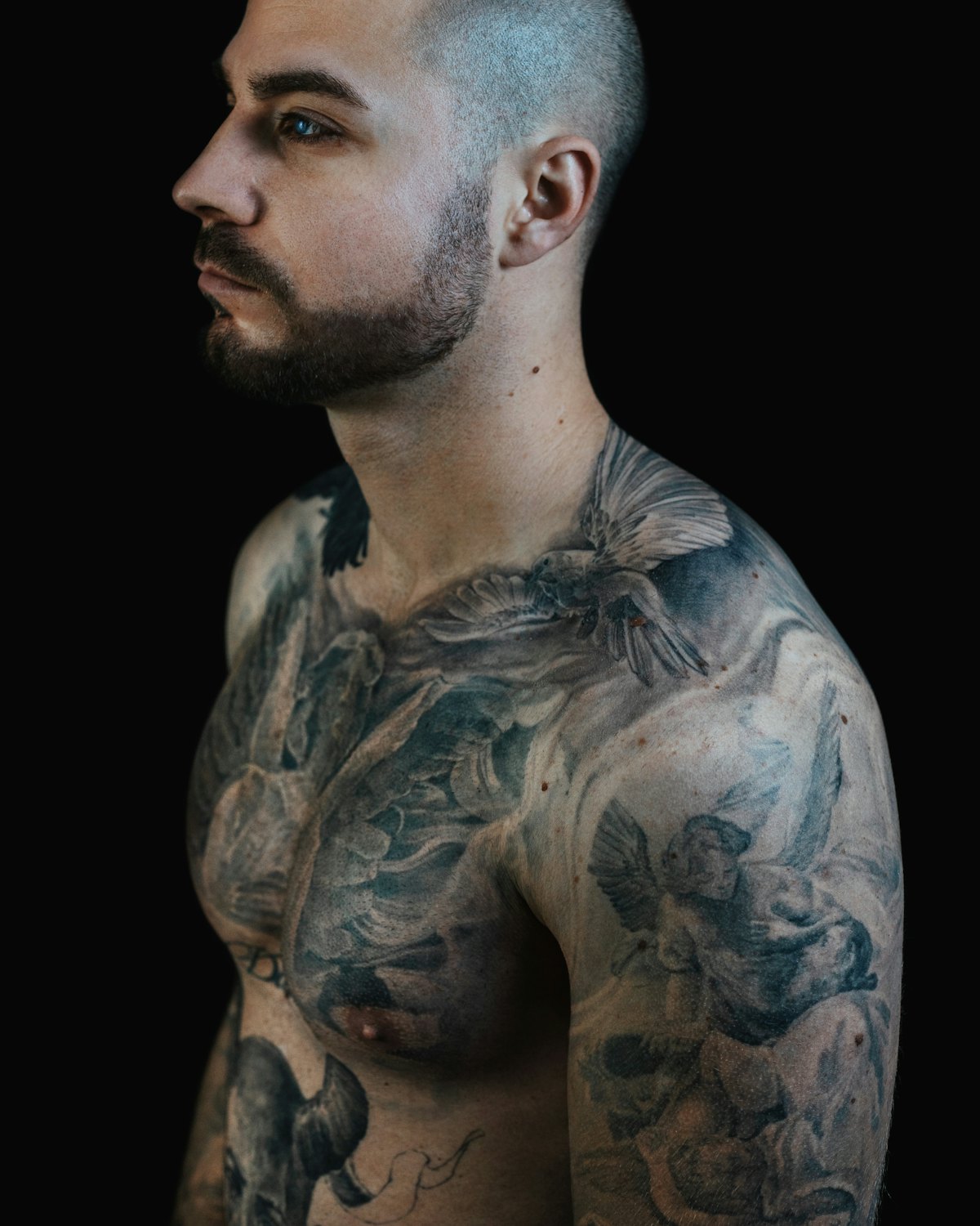 A full chest and shoulder piece